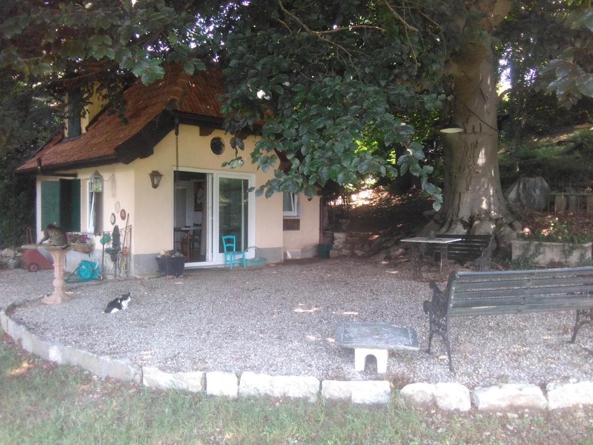 Cottage Sotto Il Faggio Centenario Ameno Exterior photo