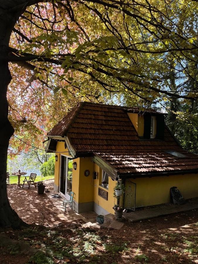 Cottage Sotto Il Faggio Centenario Ameno Exterior photo